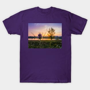 flowering teasel T-Shirt